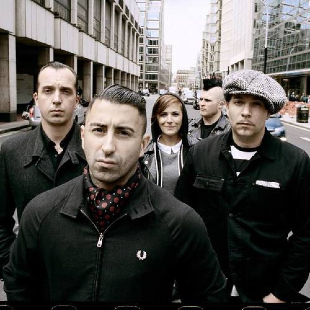 Broilers