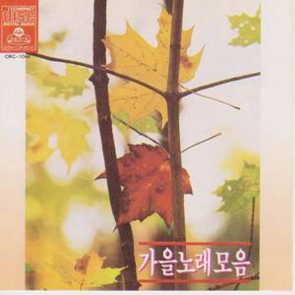 바람이었나