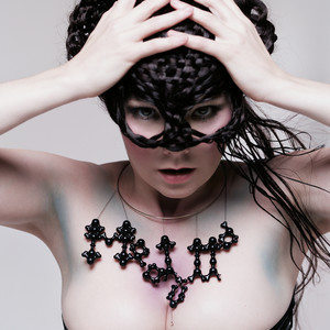 ดาวน์โหลดและฟังเพลง Show Me Forgiveness พร้อมเนื้อเพลงจาก Björk