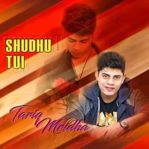 Listen to Shudhu Tui song with lyrics from Tariq Mridha