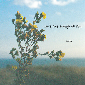ดาวน์โหลดและฟังเพลง Can’t Get Enough of You พร้อมเนื้อเพลงจาก Lulu (Anastasia Xu)
