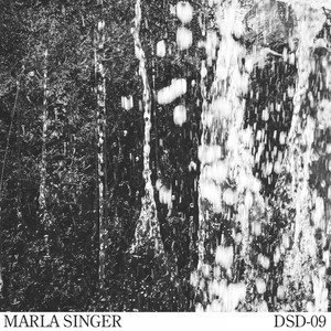 收聽Marla Singer的Discret Thème 2歌詞歌曲