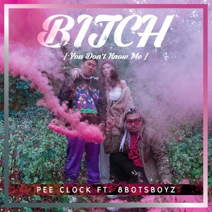 收听PEE CLOCK的Bitch (You Don't Know Me)歌词歌曲