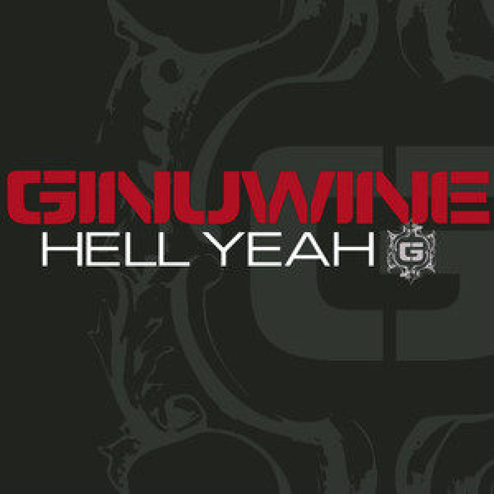 Hell Yeah (Remix featuring Birdman & Clipse)