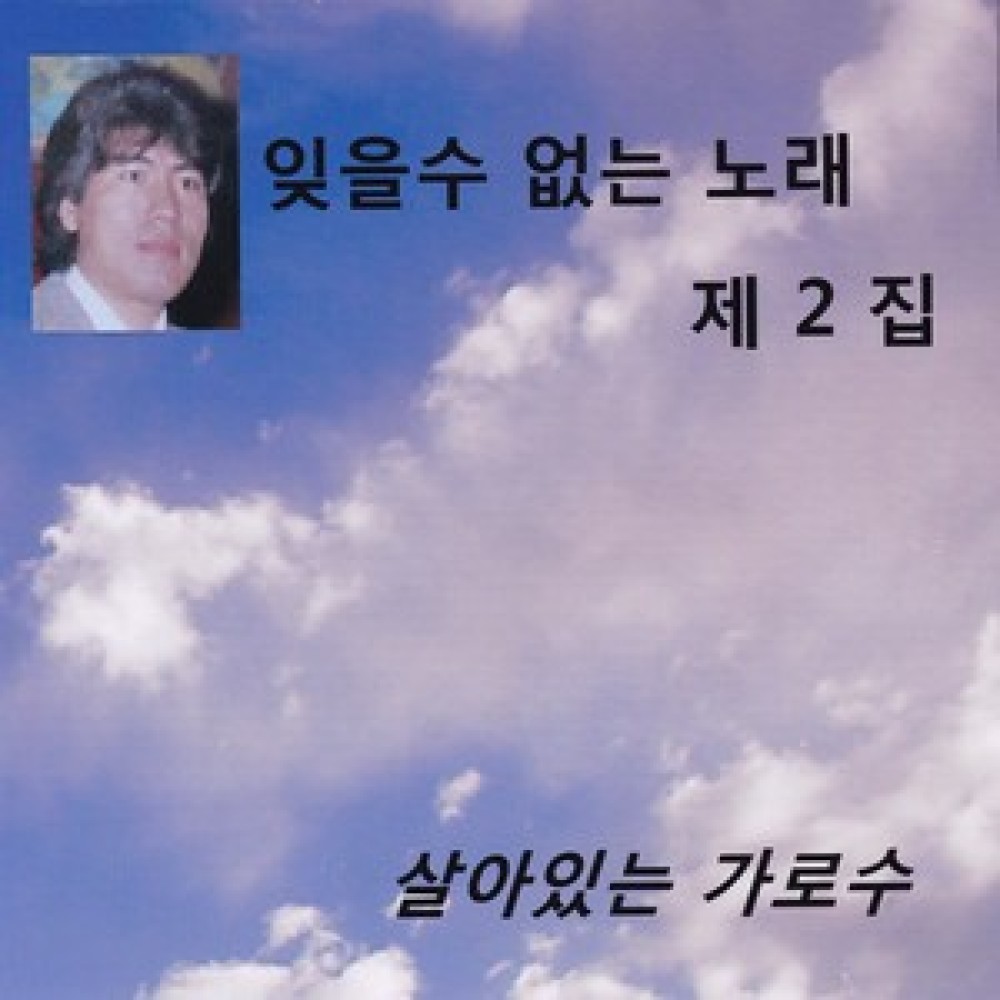 대전 부루스