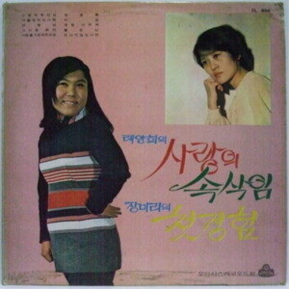비검