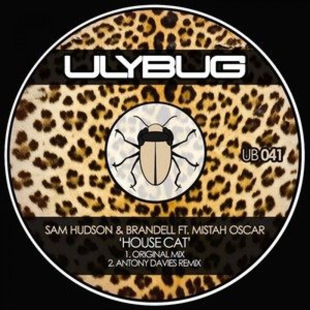 House Cat (Antony Davies House Dog Remix)