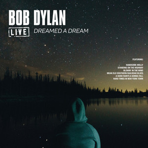 收聽Bob Dylan的Po Lazarus (Live)歌詞歌曲