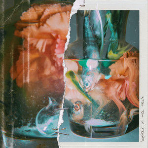 Listen to 유서 song with lyrics from Bully Da Ba$tard