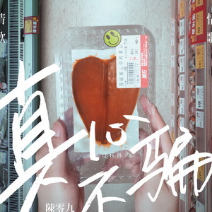 收聽陳零九的真心不騙歌詞歌曲