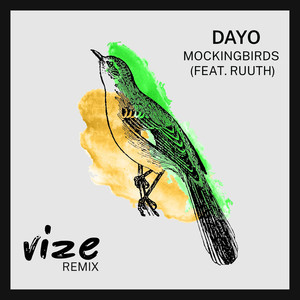 收聽Vize的Mockingbirds (VIZE Remix)歌詞歌曲