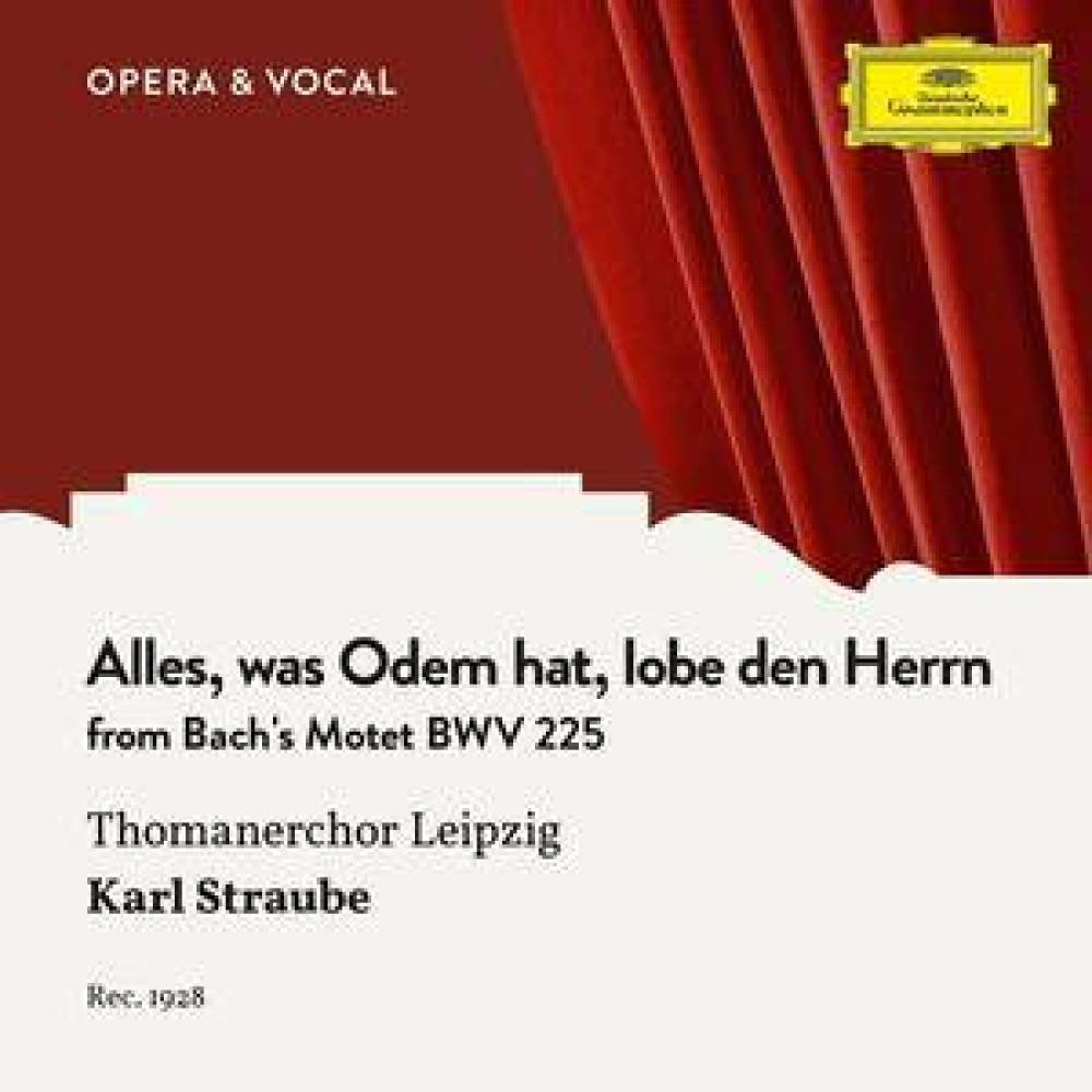 Bach: Alles, was Odem hat, lobe den Herrn - Finale Fugue, BWV 225
