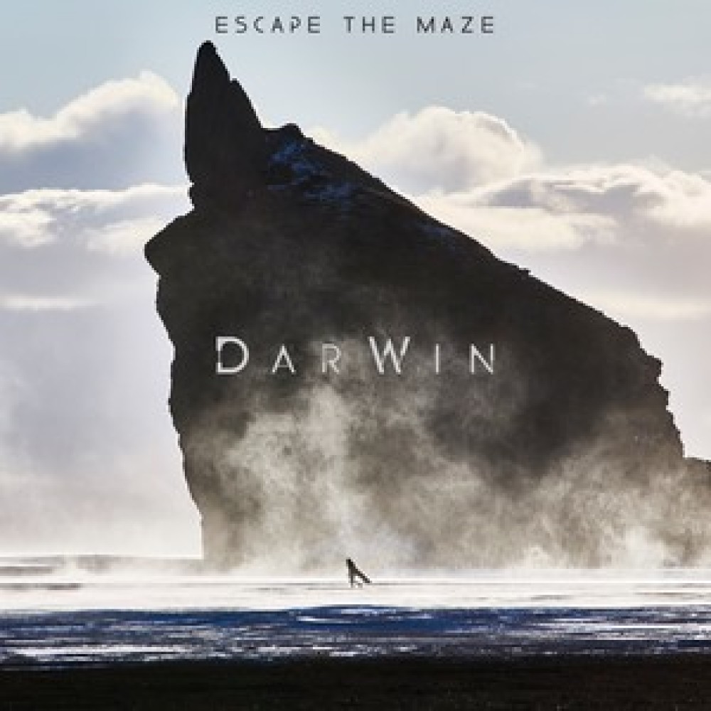 Escape the Maze