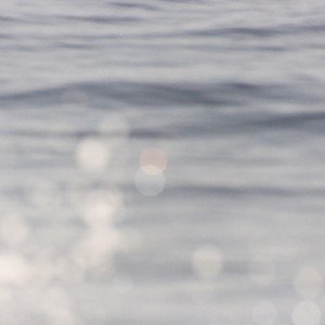 ดาวน์โหลดและฟังเพลง Nobody พร้อมเนื้อเพลงจาก Cape Francis