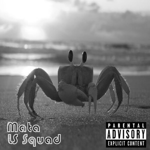 ดาวน์โหลดและฟังเพลง Ls Squad an Mwen (Explicit) พร้อมเนื้อเพลงจาก Mata