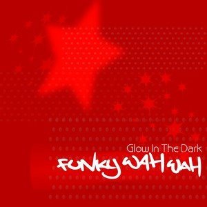 收聽Funky Wah Wah的New Day Same Life歌詞歌曲