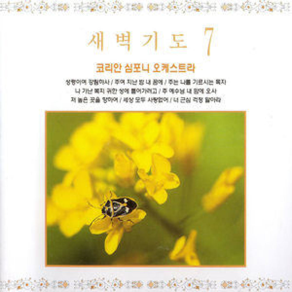 저 높은 곳을 향하여