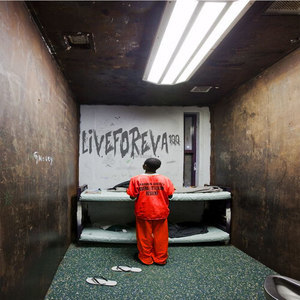 ดาวน์โหลดและฟังเพลง Above the Law พร้อมเนื้อเพลงจาก Liveforeva100