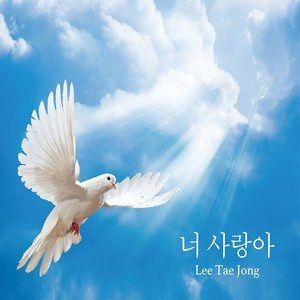 너 사랑아