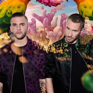 Galantis